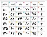پیراهن مجلسی شکوفه گلبهی